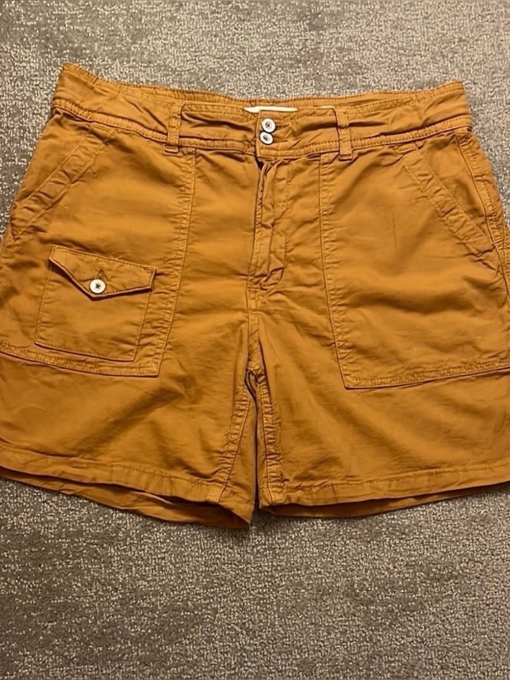 Anthropologie The Wanderer Short Size 30